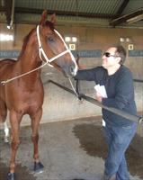 Great to see excited owner David Russo enjoying the win of his horse Entirely Platinum